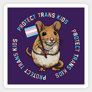 Protect Trans Kids Mouse Sticker